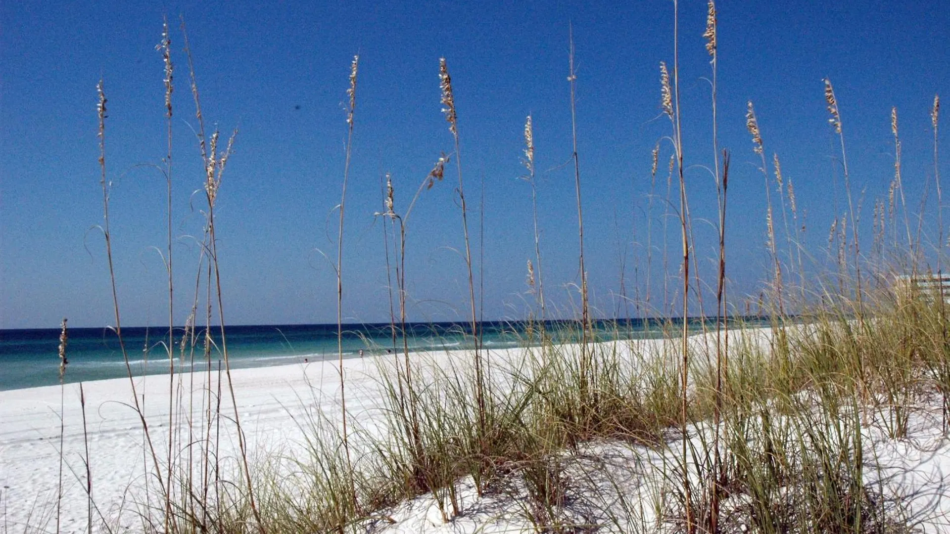 Sunbird 1205W 'Compass Rose Penthouse' Villa Panama City Beach